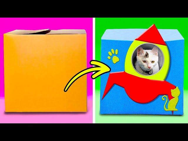 PAWSOME DIYs AND LIFE HACKS FOR PET OWNERS
