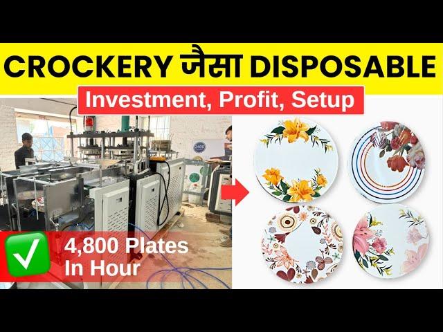 Full Automatic High-Speed Buffet Plate-Making Machine | Investment, Profit, Setup | Business Idea