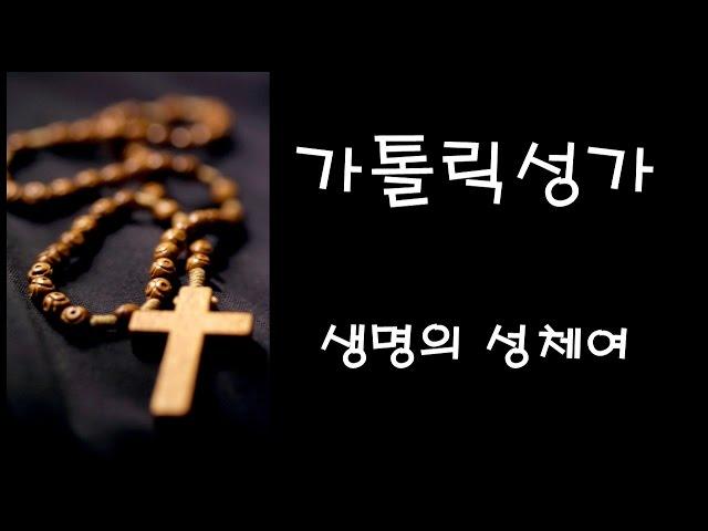 가톨릭 성가 - 생명의 성체여 (Korean Catholic Hymns)