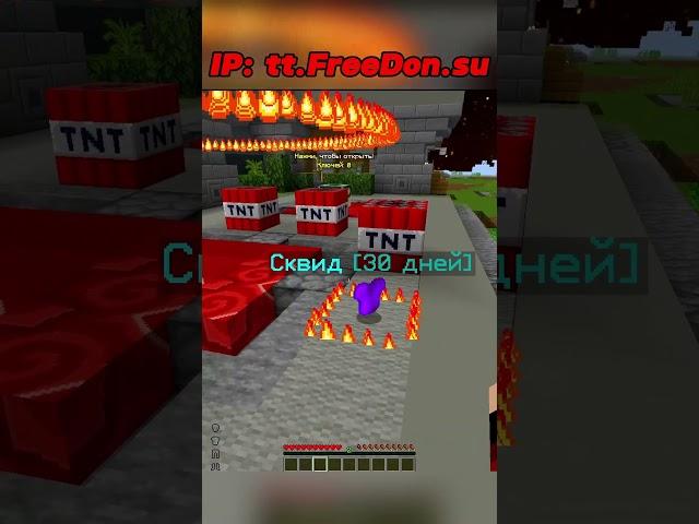 Лучшая копия FUNTIME Анархия ПвП | Копии Фантайм PVP | FreeDon |
