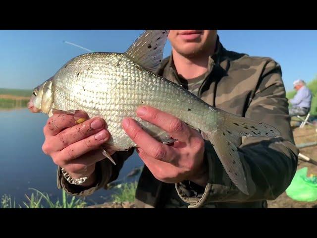 ПОВЕЗЛО НА РЫБАЛКЕ НА ДОНКИ 2024 #рыбалка #fishing #на природе #рыбалкаосенью