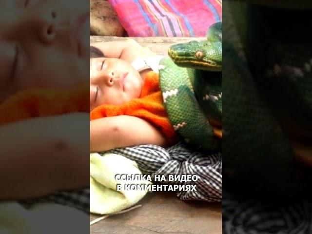 Родился в год Змеи? Это видео специально для тебя!