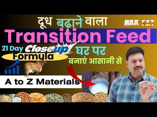 दूध की नदियां बहाने वाला Transition Feed for Cow Buffalo घर पे बनाए transition feed formula