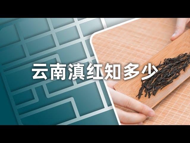 云南滇红知多少，带你简单瞧一瞧 | Let's Talk about Black Tea in Yunnan (A.K.A.DIAN HONG) | ENG SUB