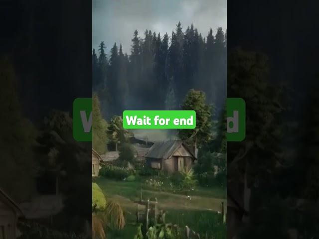 #forest #nature #birds #naturelovers