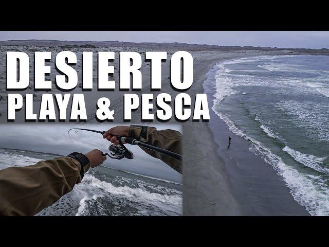 Fishing Adventure in the Third Region: Between the Desert and the Sea Ep.1