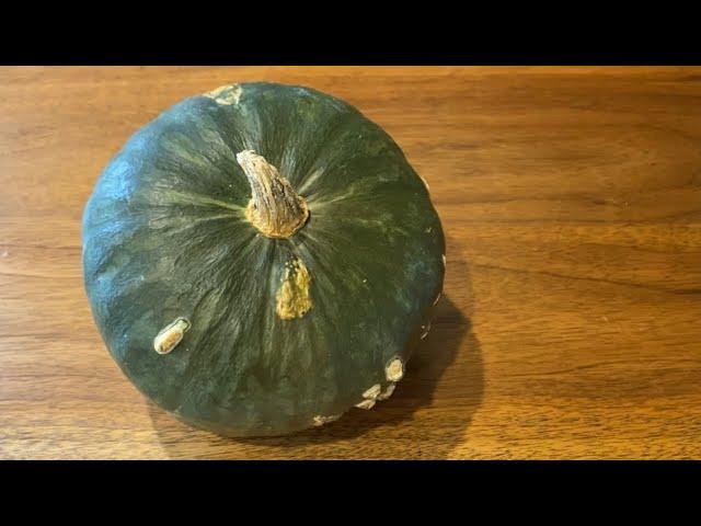 How To Cook Buttercup Squash | Fall Recipe | City Foodie Farm