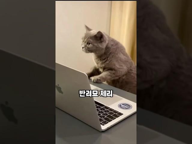 시급이 무려 18만원이라고??