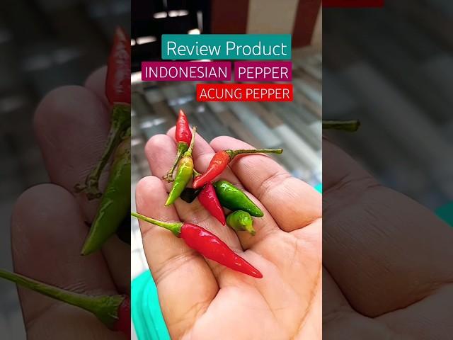 REVIEW PRODUCT THE HOTTEST PEPPER IN INDONESIA #pepper #reviewproduct #reviewpepper #reviewfoods