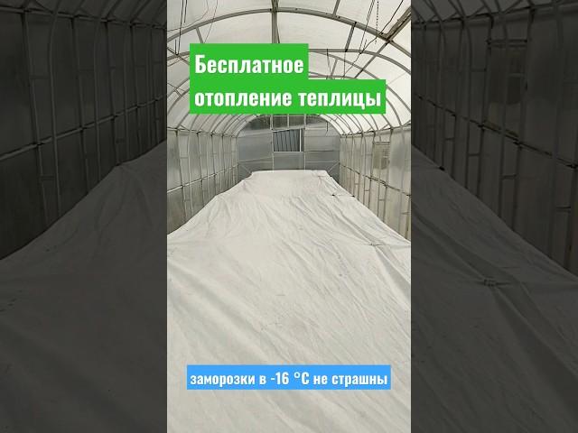 Бесплатное отопление теплицы. Заморозки в -16 градусов не страшны #теплица #огурцы #помидоры