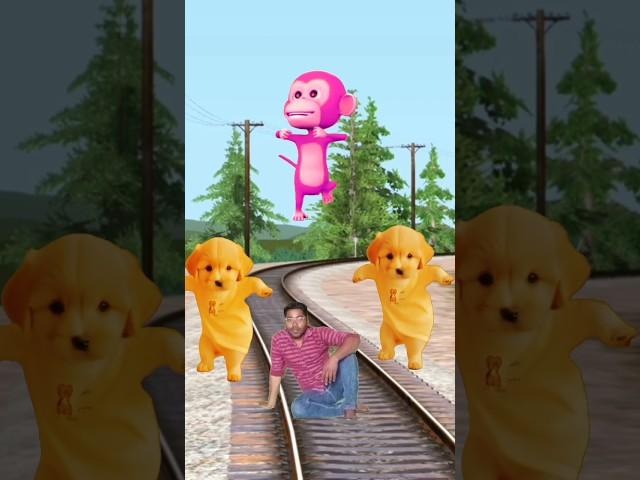  cute baby dogs vs monkey stop the train by dancing #shorts #trend