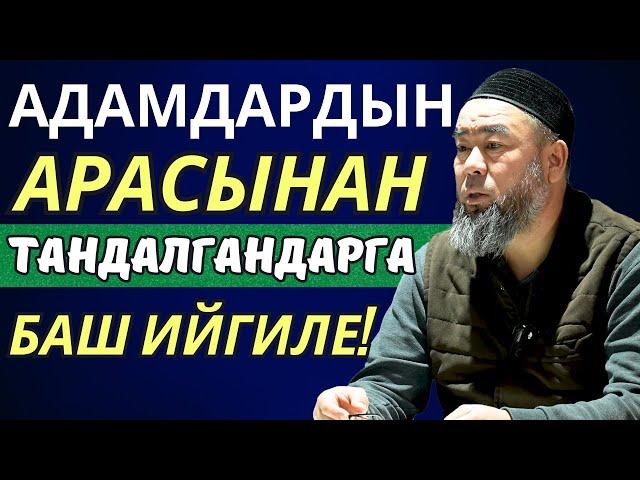 АДАМДАРДЫН АРАСЫНАН ТАНДАЛГАНДАРГА  БАШ ИЙГИЛЕ! Устаз Эрмек Тынай уулу