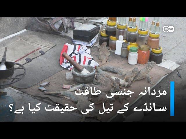 سانڈے کے تیل کی حقیقت کیا ہے؟|DW Urdu| The Horrifying Truth Behind Sandy Ka Teel