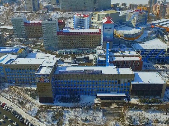 Владивостокский государственный университет экономики и сервиса