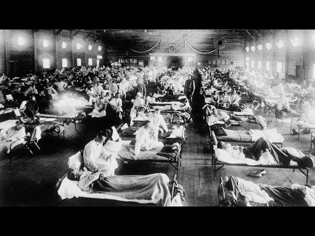 Hilleman - Influenza Segment - Vaccine Makers Project