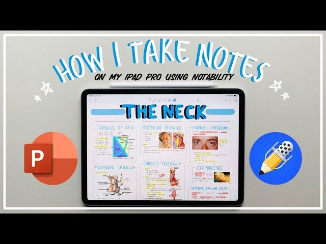 How I make NEAT NOTES on my IPAD PRO using NOTABILITY | Journey2Med