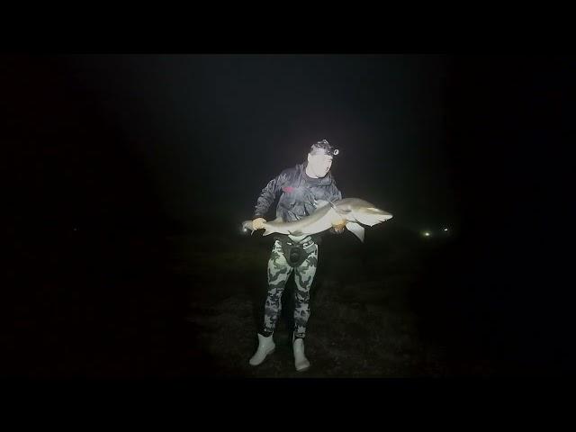 We’re BACK with a BANG!!! | A solid night of fishing at Four Seasons with the boys!