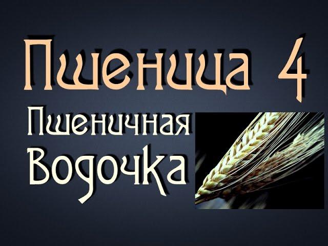 Самогонщик Тимофей. Пшеничная брага 4. Пшеничная водка.