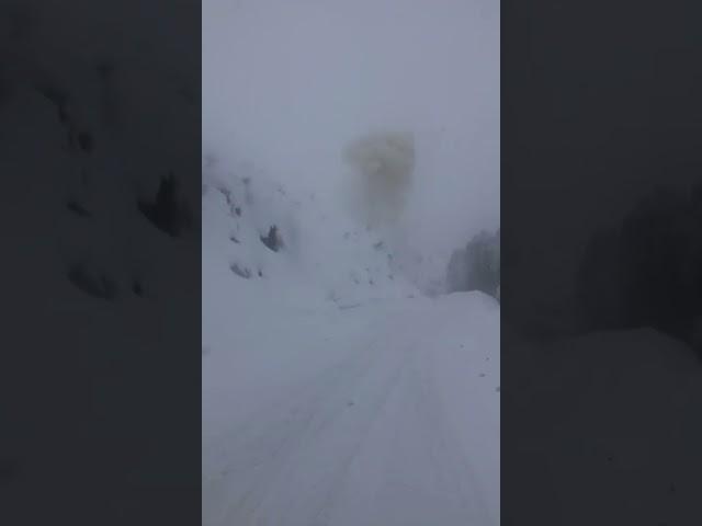 Лавина сошла на дорогу в ВКО