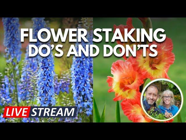 How to Stake Flowers: The Easy Do's & Don'ts