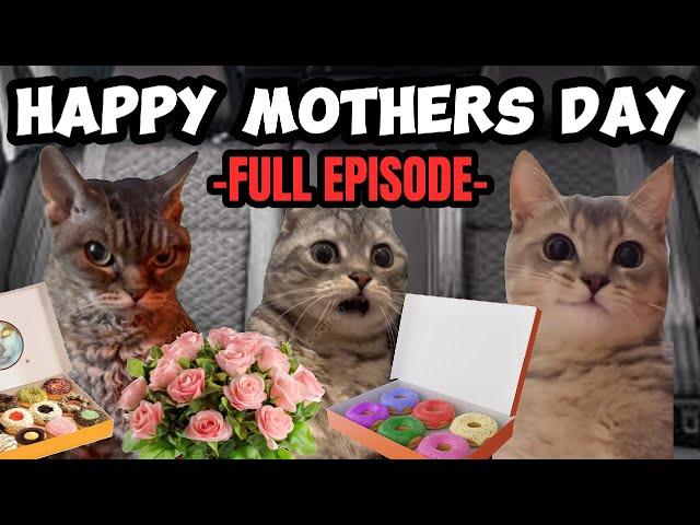 CAT MEMES: THE MOTHERS DAY ROADTRIP