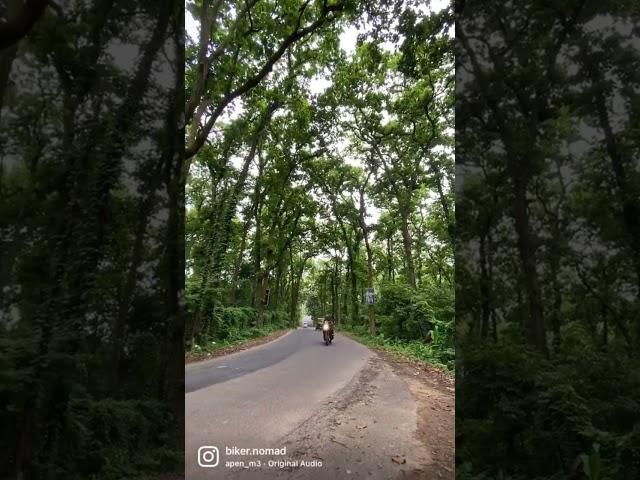 Royal Enfield #Himalayan WhatsApp Status | Himalayan Lovers Shorts #BikerNomad | 2021 Himalayan BS6