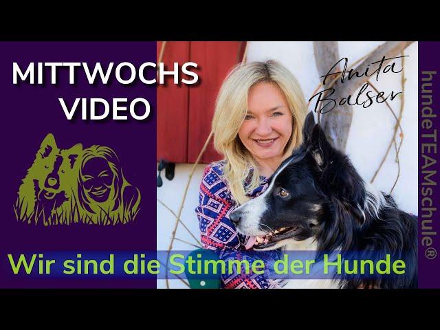 Mittwochsvideo - 22-07-13 Wie und warum Deine Atmung das Verhalten Deines Hundes beeinflusst!