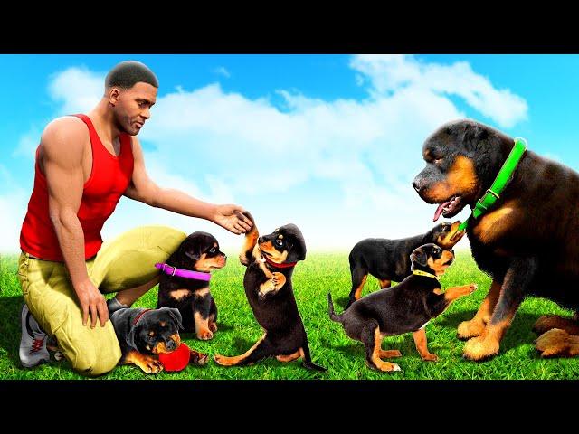 Chop has PUPPIES in GTA 5!