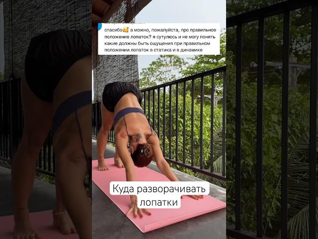 Осознанная работа лопатками в асанах #йогадляначинающих #йога