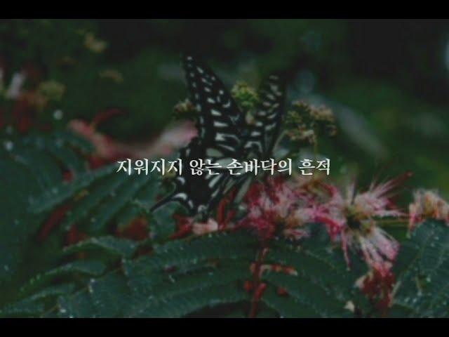 아마노 츠키코-나비(蝶)