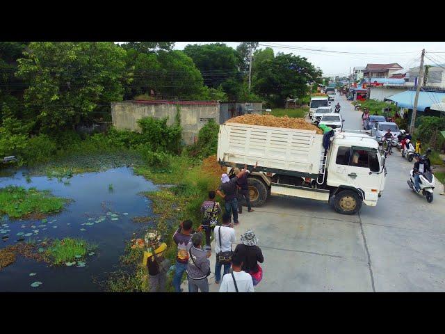 Perfectly Job!!Dump Truck 5Ton Fill Land with Bulldozer D31P Komatsu Push soil into field, Mix VDO