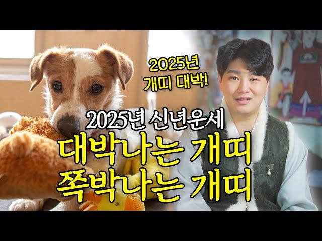 2025년 개띠신년운세 대박나는개띠 vs 쪽박나는개띠 "재물 쓸어담는 개띠 몇년생!? "/의정부용한점집 [더샤머니즘]