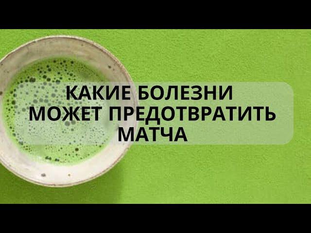 Полезные свойства чая матча