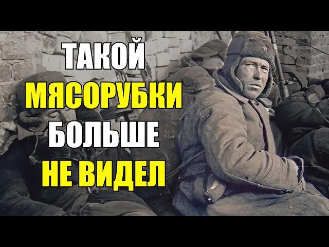 Такой МЯСОРУБКИ я больше не видел! Чем запомнились ЧЕТЫРЕ ДНЯ в окопах Сталинграда? Воспоминания