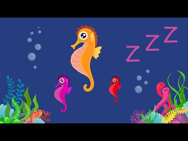 Baby Sleep and Unwind with a Enchanting Lullaby - SeaHorse Animation