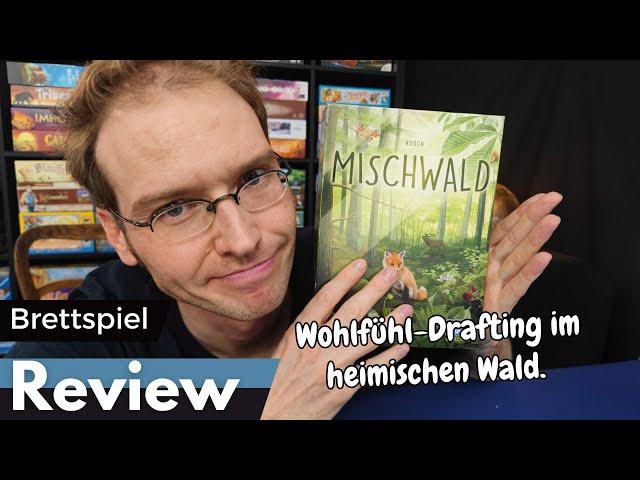 Mischwald – Lookout - Brettspiel – Review und Regelerklärung