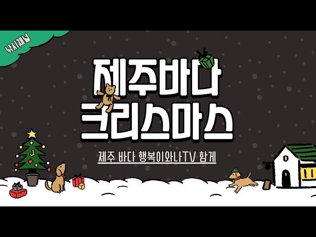 여러분 메리크리스마스( Merry Christmas)#제주바다 #원투낚시 #감성돔 #돌돔#참돔