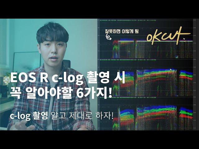 C-log? 제대로 알고 쓰자! EOS R c-log 테스트! A to Z [OK CUT]