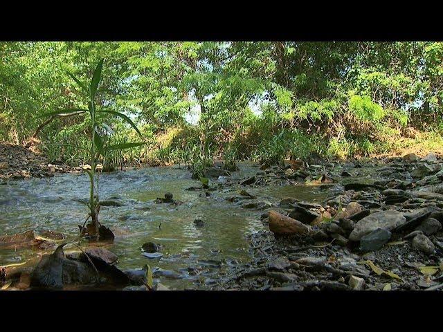 Natural Stream Restoration: Streams in Nature (Part I)