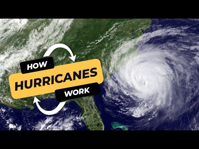 Discovering hurricanes: The science behind nature's epic storms explained | | CBC Kids News