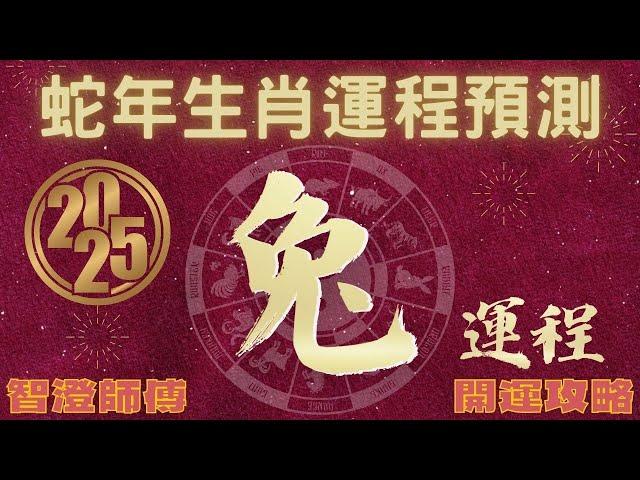 2025年 乙巳年 生肖運勢 蛇年十二生肖運程 —【肖兔】 | 概括運程+四季不同時段出生 屬兔運程 | 開運攻略 | 生肖運程 分析 | 愛情、事業、正財、橫財、健康預測 | 生肖運程 2025增運