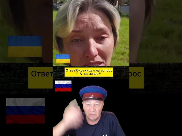 Вы сами встали на колени
