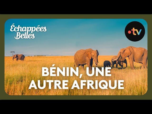 Bénin, une autre Afrique - Echappées belles