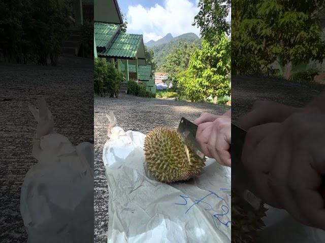 Dedicated to DURIAN lovers and those who have not seen the inside of it Ever tried durian? #durian