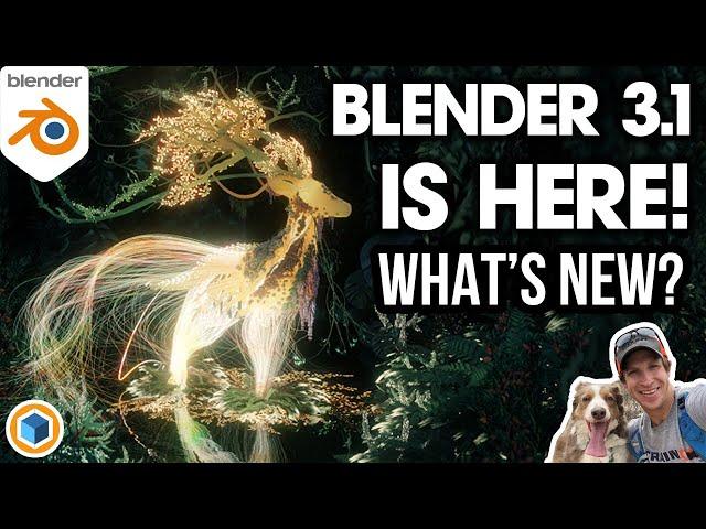 What's New in Blender 3.1?