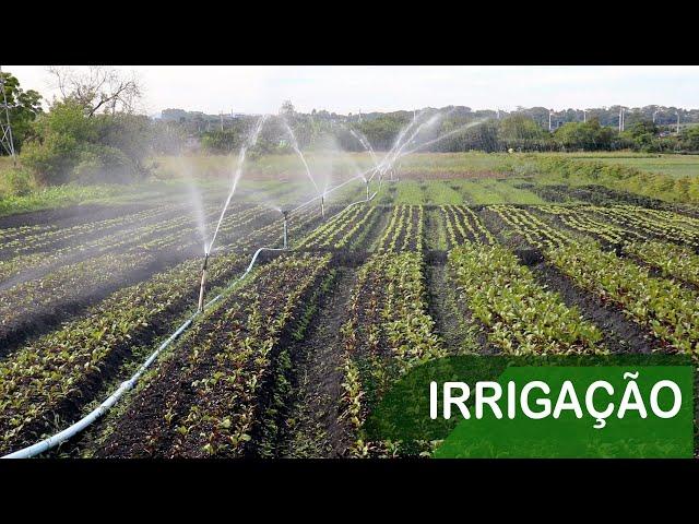 Nosso Sistema de Irrigação na Horta do O Agro Nosso