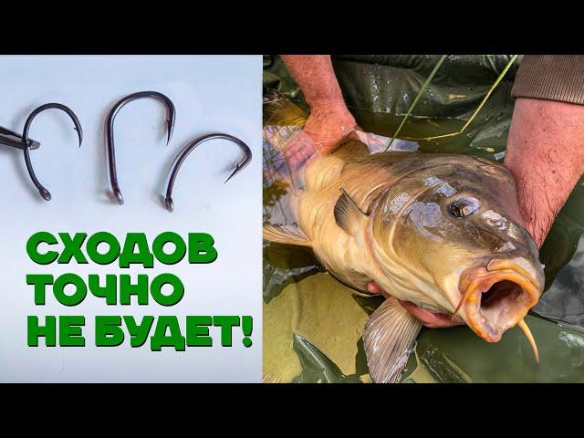  Самые популярные КРЮЧКИ для Карповой и Флэт-Фидерной ЛОВЛИ! Как выбрать крючок