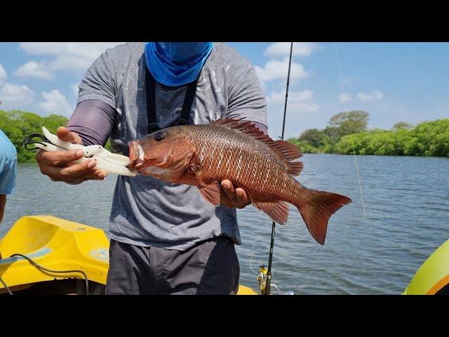 LAGOON TROLLING & Lure Casting For Jack & Barramundi | Trincomalee Sri Lanka