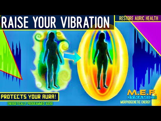 Raise Your Vibration (Morphogenetic Programmed Audio)