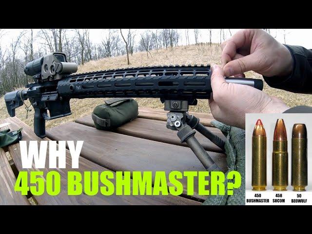 Why I chose 450 Bushmaster!